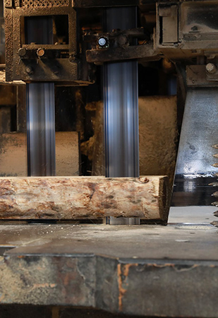 小径木 製材加工