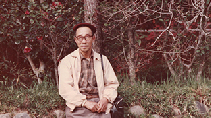 製材されるのを待つ原木たち